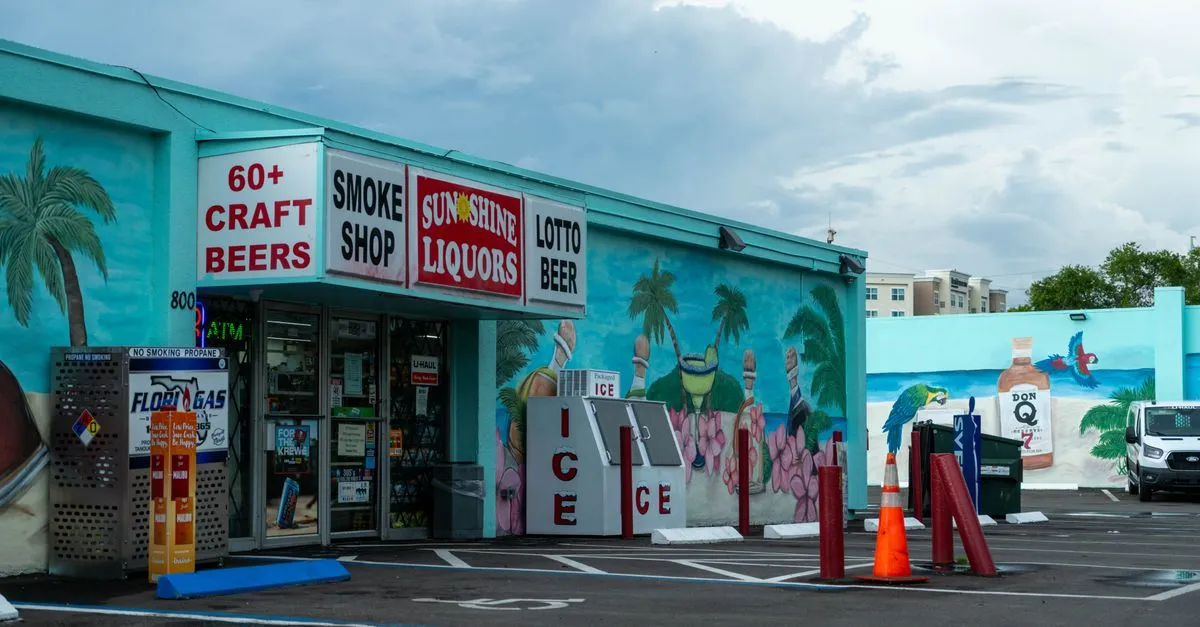 The colorful storefront of Sunshine Liquors on North Florida Avenue in Tampa, a real neighborhood shop with hand-painted tropical murals, the kind of local business local SEO is built for.
