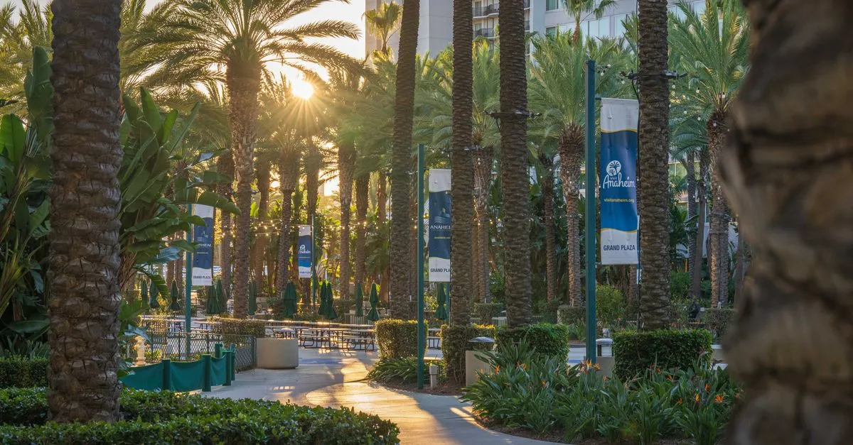 A palm-lined walkway through the Grand Plaza at the Anaheim Convention Center, with banners reading Anaheim and Grand Plaza in the evening light.