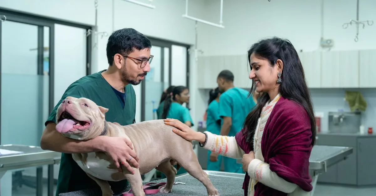 A pet owner comforting her dog while a veterinarian examines it at an animal clinic.