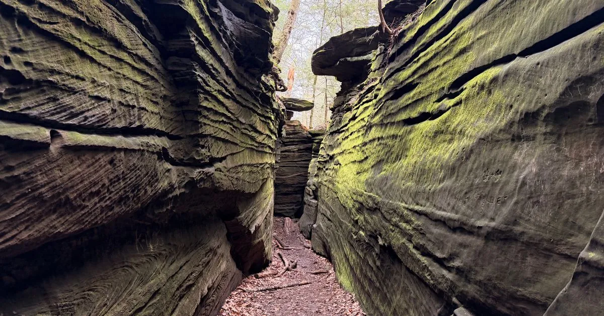 A mossy sandstone gorge along a wooded trail in Cuyahoga Valley National Park near Akron, Ohio.