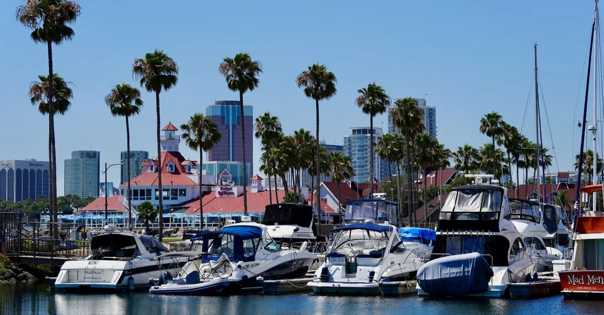 Boats moored in a Long Beach marina with the downtown skyline and palm trees behind them on a clear day.