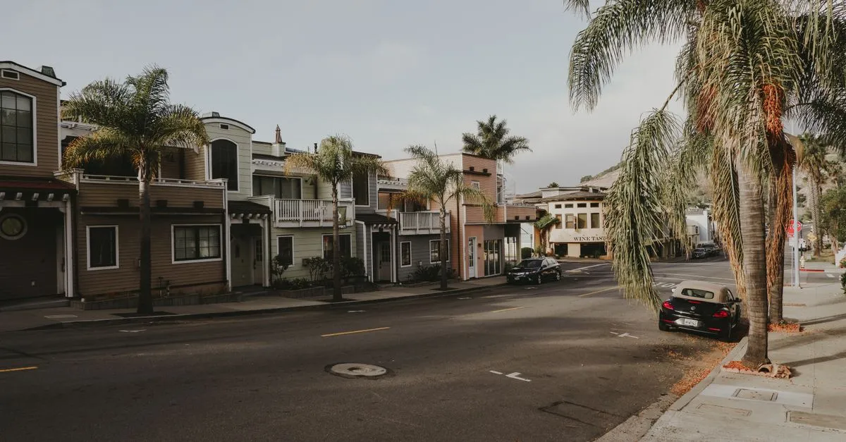 A sunny California street lined with palm trees, low storefronts, and parked cars, the kind of local small-business block that lives or dies by the map pack.
