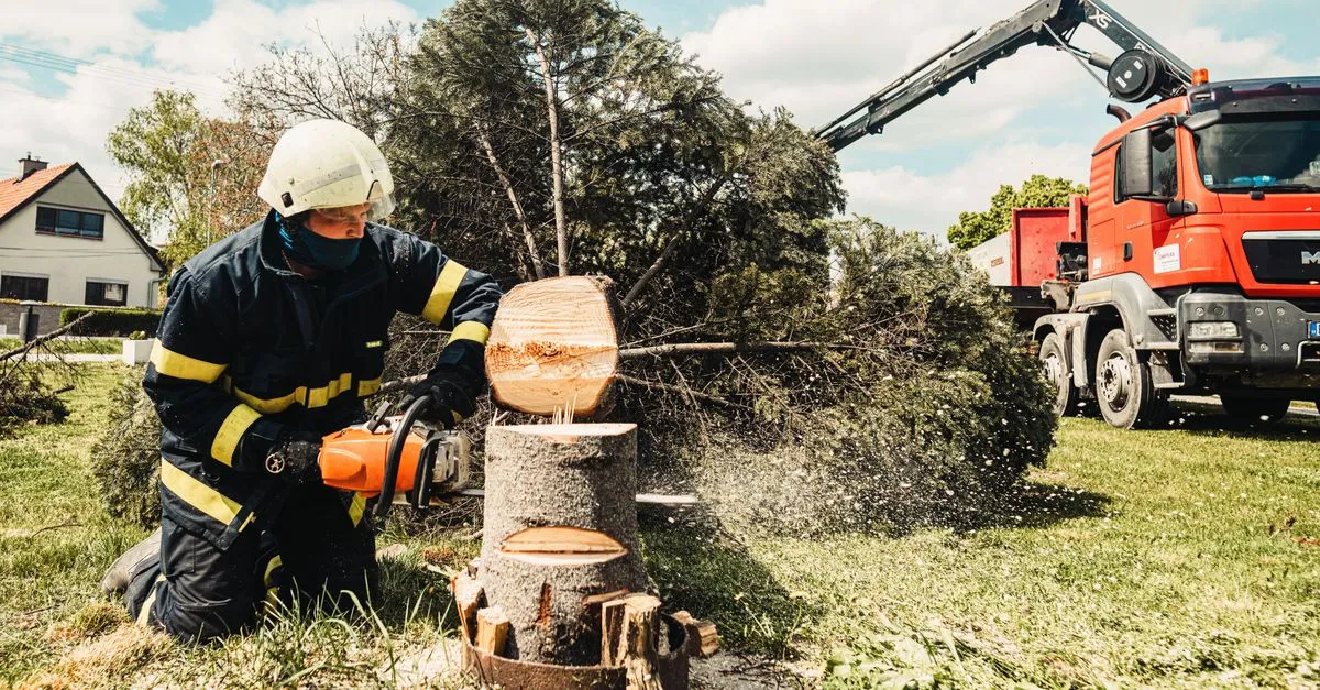 A tree service crew cutting down a tree with a chainsaw while a truck assists on a removal job.
