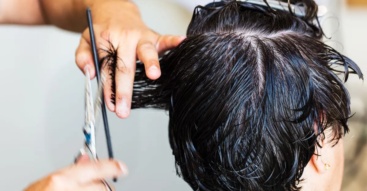 A stylist cutting a client&rsquo;s hair with scissors and comb, the kind of work a salon website gallery puts front and center.