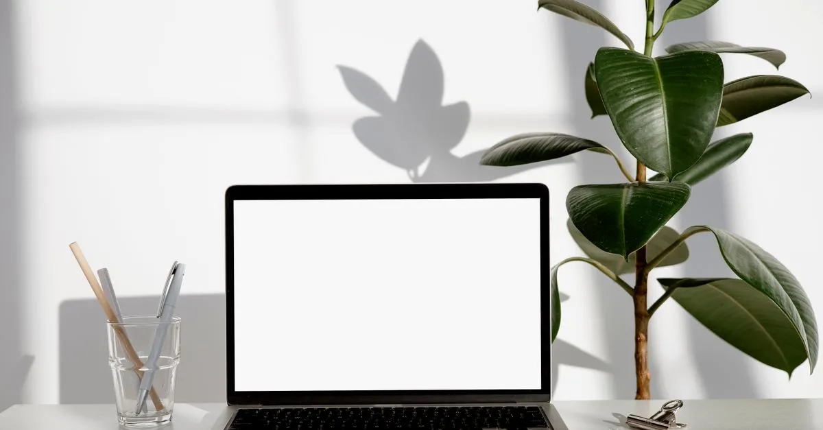 A clean, modern workspace with a laptop showing a blank screen, a potted plant, and pens on a bright desk, ready for a website build.