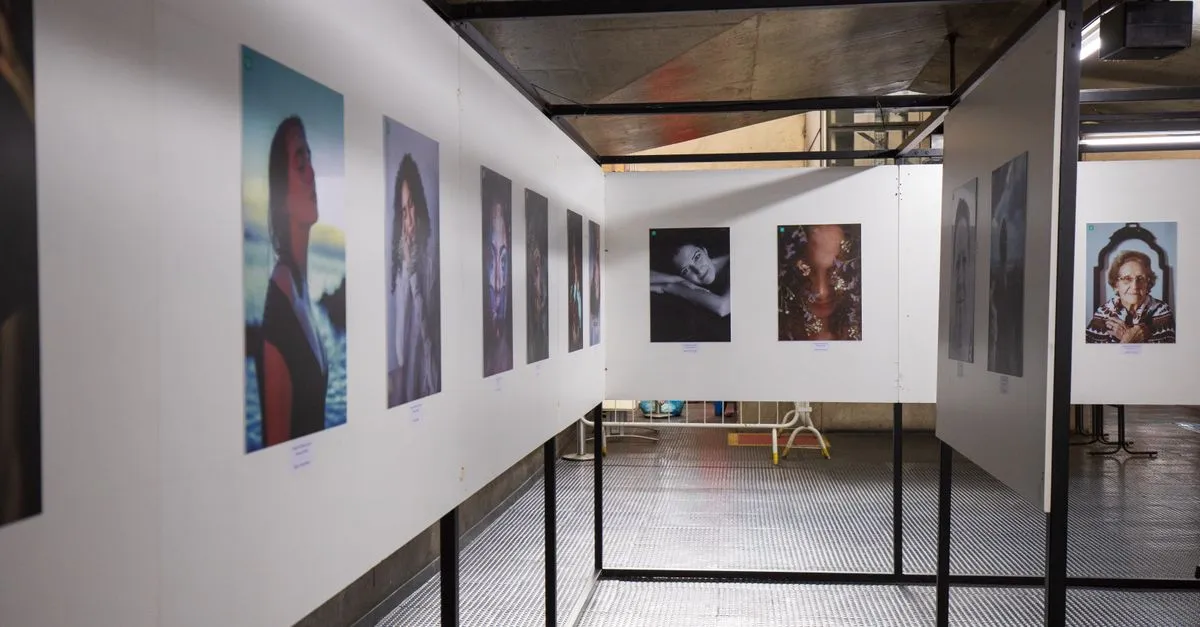 A gallery wall of framed artwork in an exhibition, the kind of portfolio an artist website puts online.