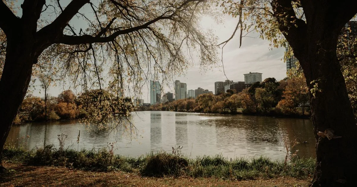 Milwaukee's downtown skyline seen across a calm lagoon framed by autumn trees on an overcast day.