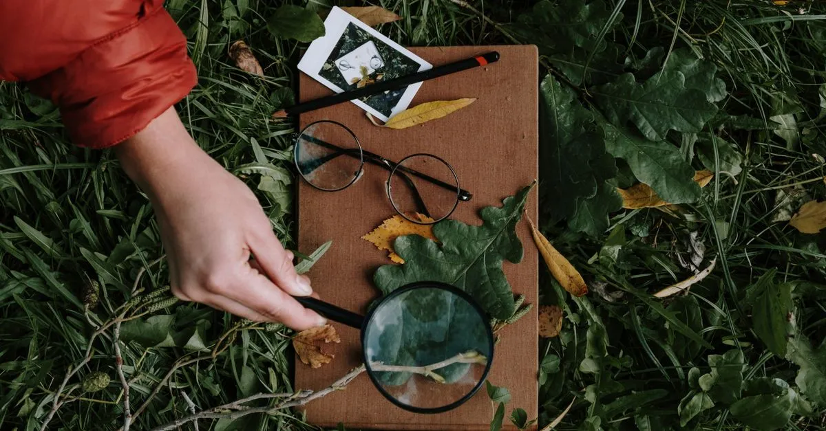 A magnifying glass examining a leaf, representing keyword research for a small business.