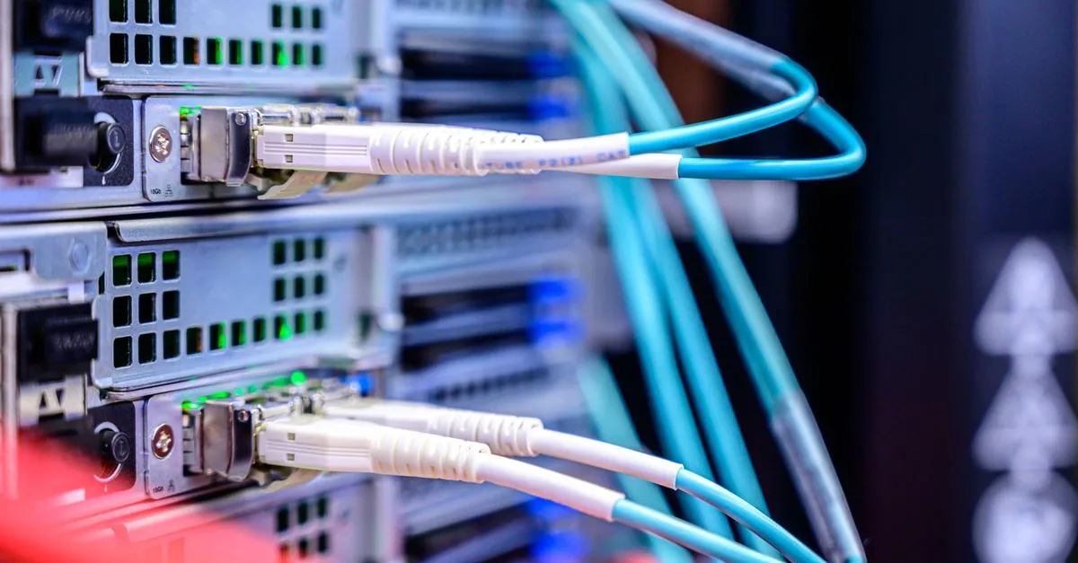 Detailed shot of Ethernet cables connected to server ports highlighting technology infrastructure.