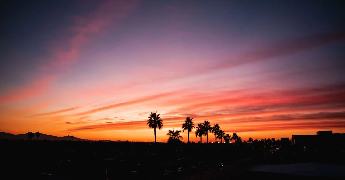 Palm trees silhouetted against a vivid orange and pink twilight sky over the metro Phoenix skyline and distant desert mountains in Arizona's East Valley, the kind of local market local SEO is built for.