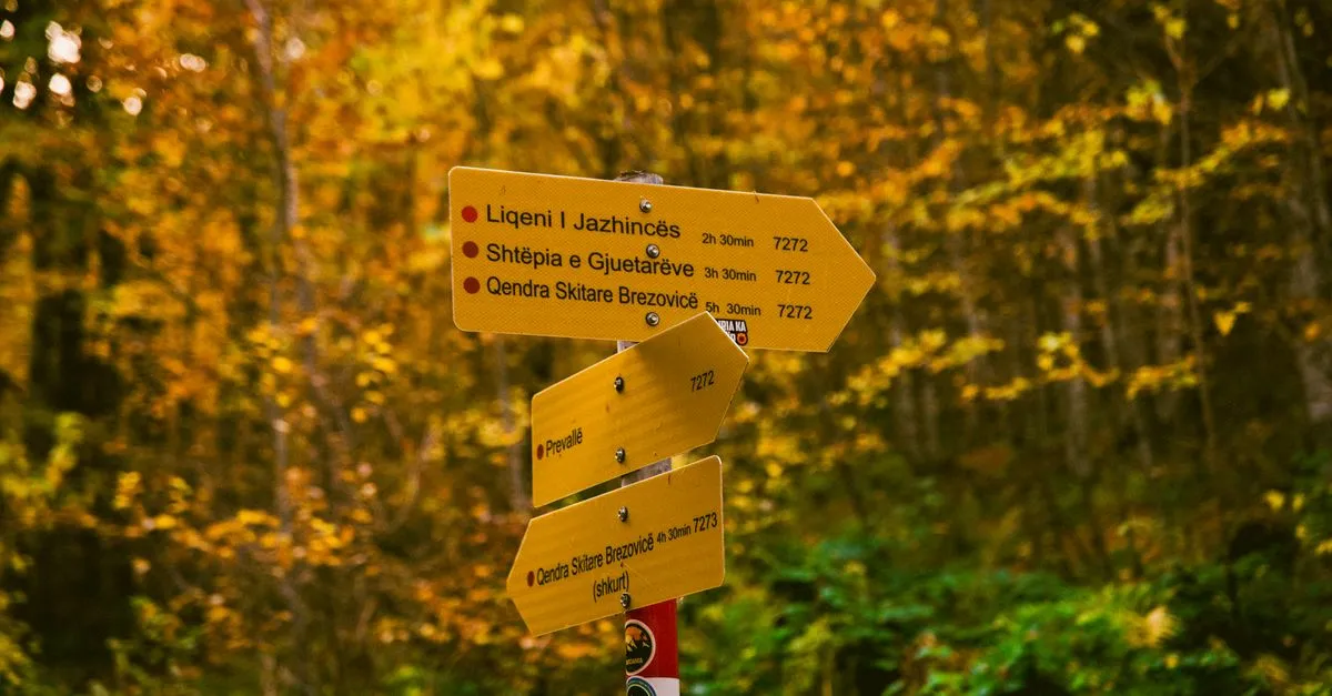 Yellow signposts pointing three directions in an autumn forest, standing in for SEO, AEO, and GEO.