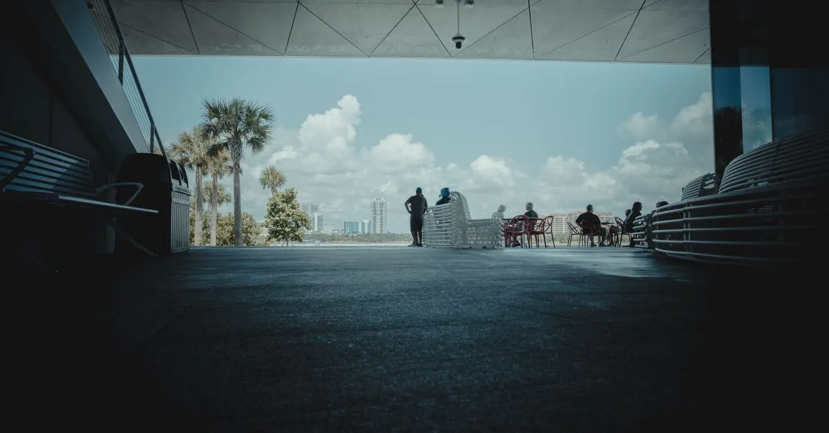 People relaxing on a shaded waterfront terrace lined with palm trees, looking out over the bay toward a city skyline on the Florida Gulf coast.