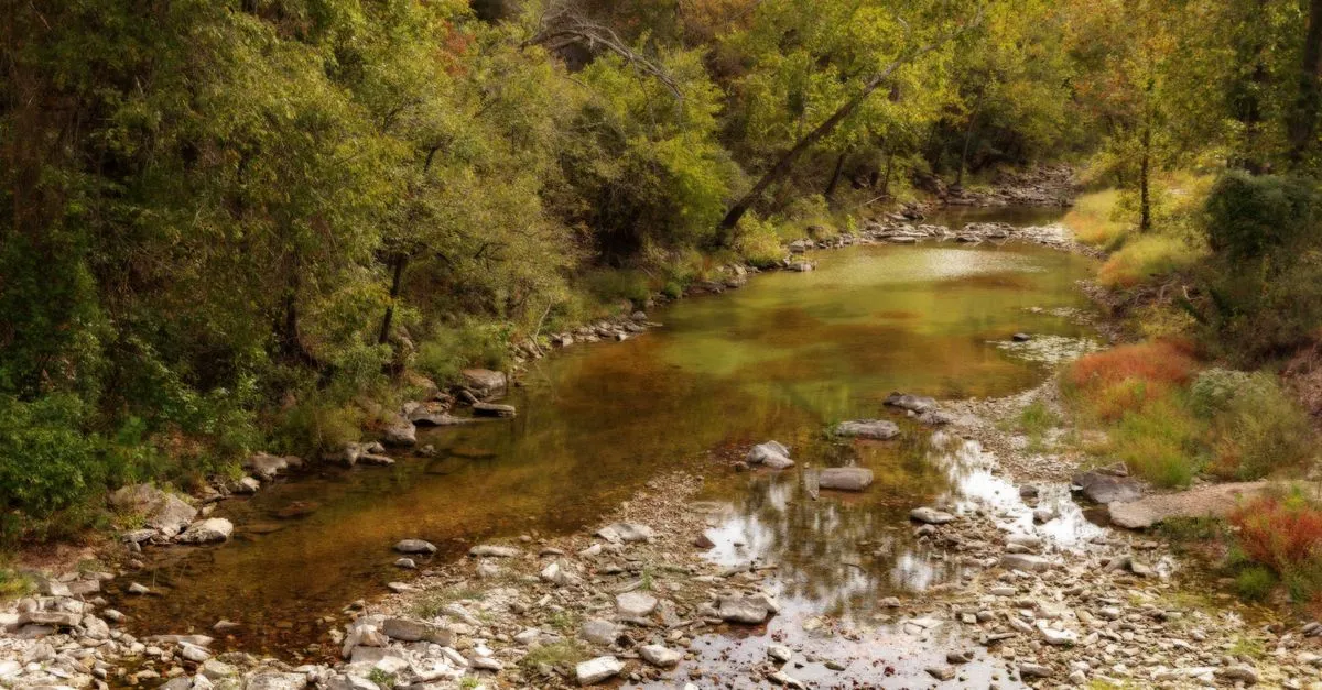 A tranquil creek winding through an Arkansas forest with early autumn colors.