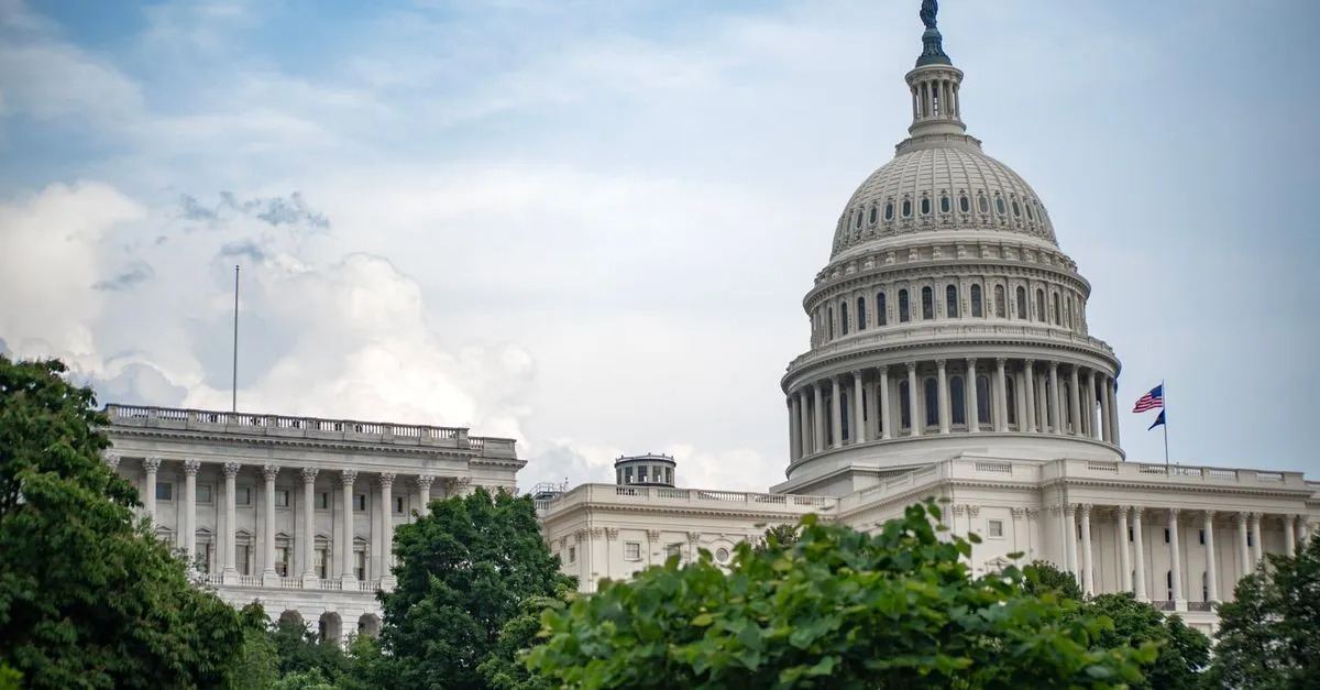 The US Capitol Building in Washington, D.C., an iconic symbol of the American federal government.