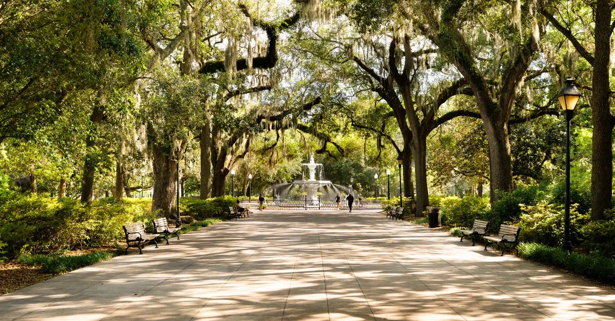 A scenic walkway lined with live oaks and Spanish moss leading to the fountain in Forsyth Park, Savannah, Georgia.