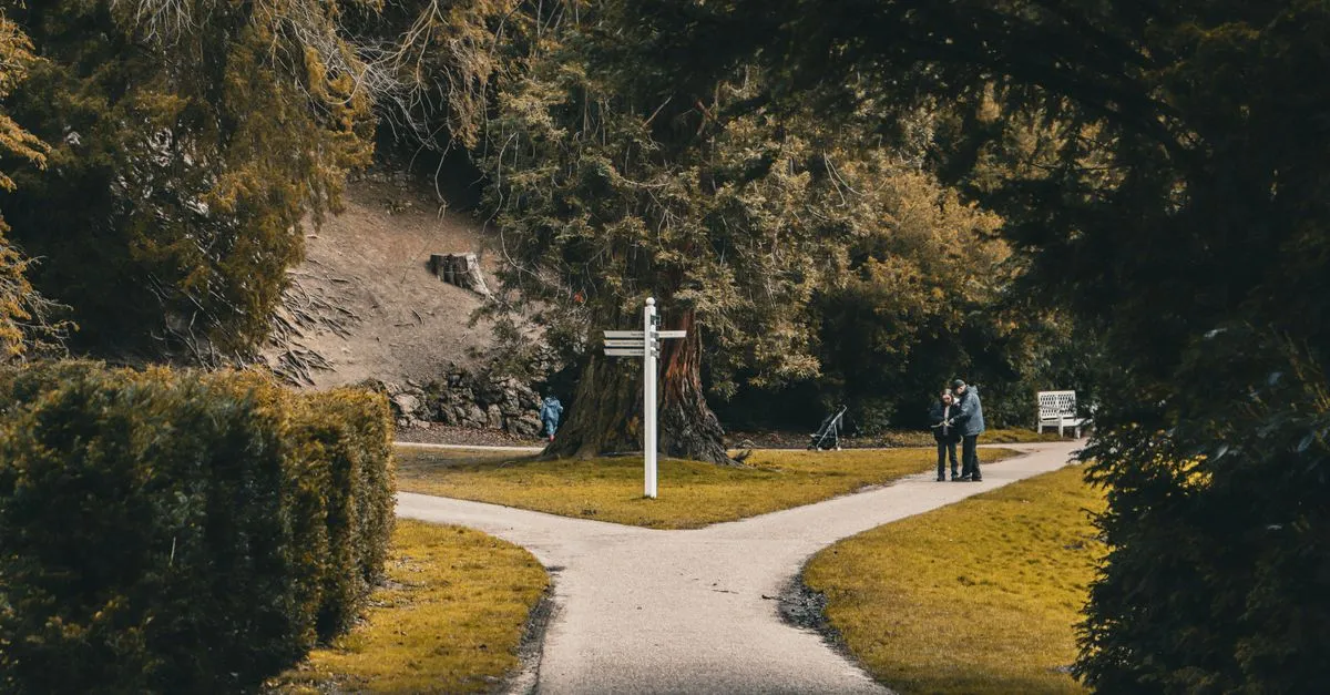A path splitting in a park, representing the choice between local SEO and organic SEO.