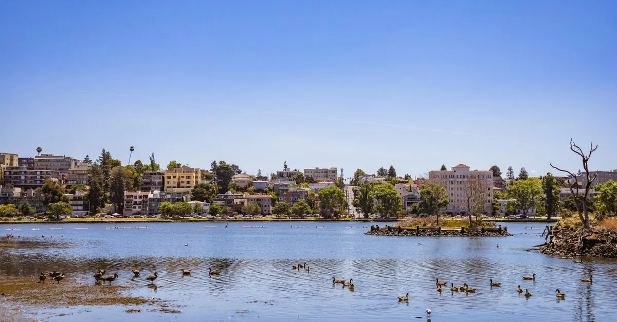 Lake Merritt in Oakland, California, with geese on the calm water and hillside homes and low-rise buildings behind it under a clear blue sky.