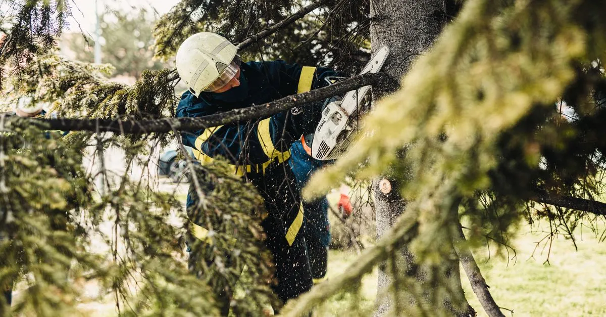 A crew member in protective gear cutting a tree branch with a chainsaw, the kind of tree service local SEO helps get found.
