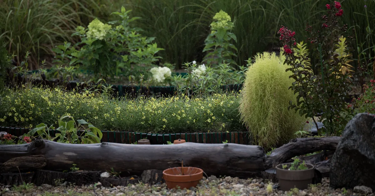 A lush landscaped garden with layered greenery, flowers, and stonework, the kind of project a landscaping SEO company helps homeowners find.