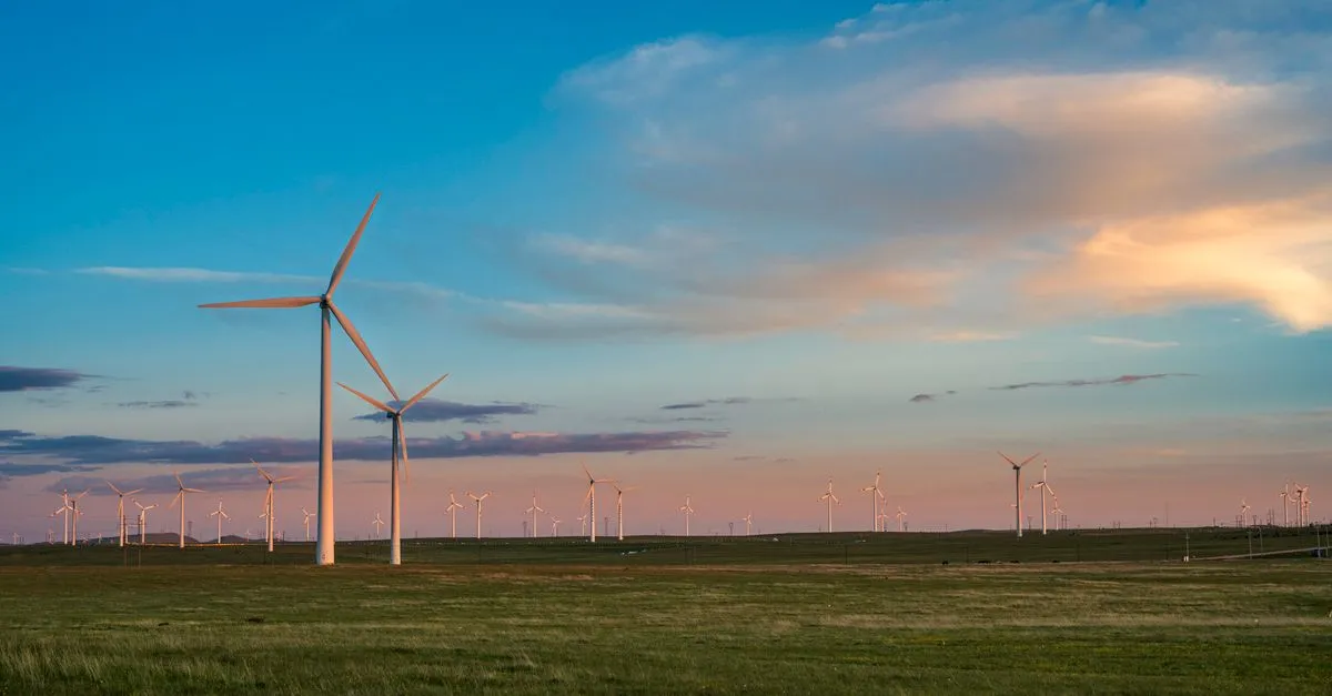 A wind farm stretching across open, flat grassland at dusk under a wide sky, the kind of High Plains country that surrounds West Texas.